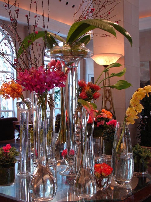 Weekly Flowers Dallas Delivery & Install Dr Delphinium